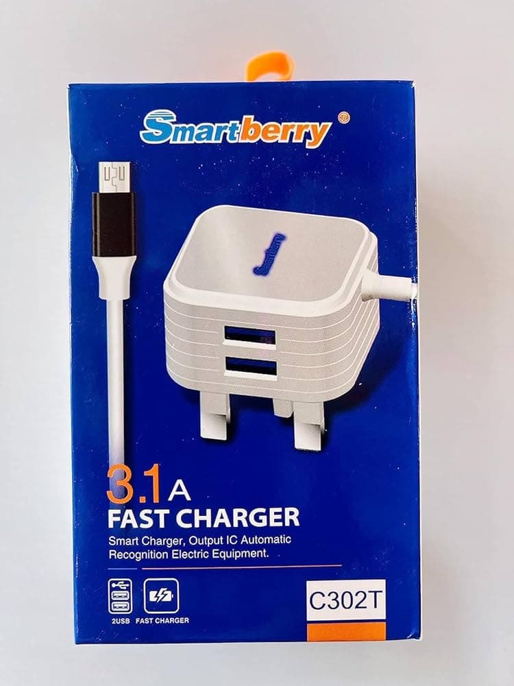 SmartBerry Charger